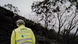 Ourense tiene 322.000 hectáreas  de masa forestal, su valioso «petróleo verde»,  abandonado y con riesgo de convertirse en ceniza