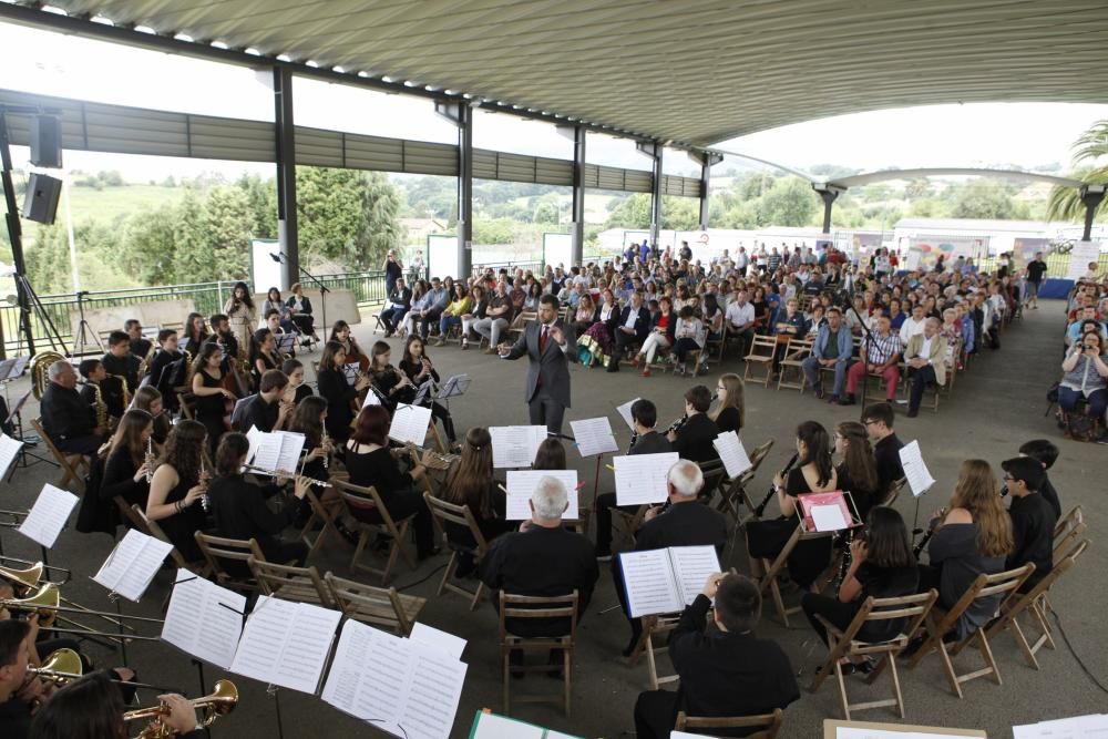 Celebración de los 30 años de Proyecto Hombre