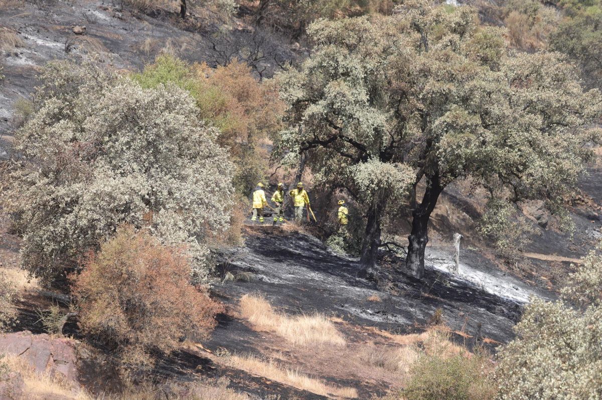 Incendio en La Albaida día 3