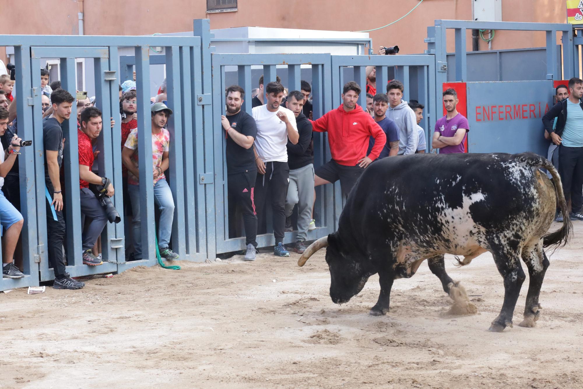 Búscate en las fotos del último sábado de fiestas de Vila-real