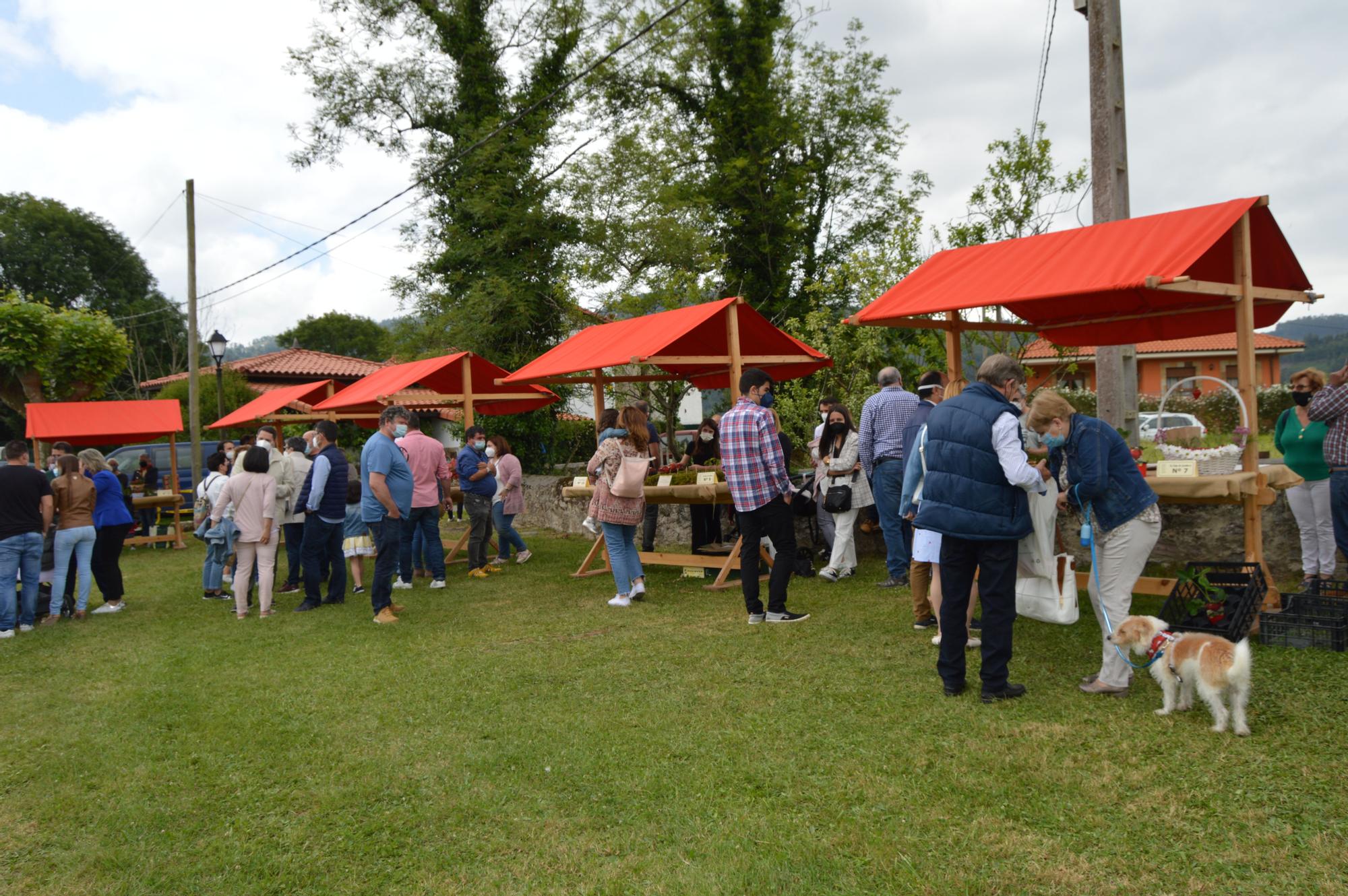 Ambiente en el Festival de la fresa