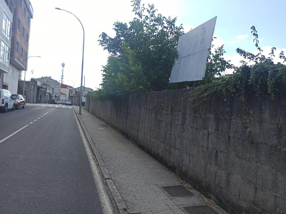 rúa do muíño falta limpieza a estrada