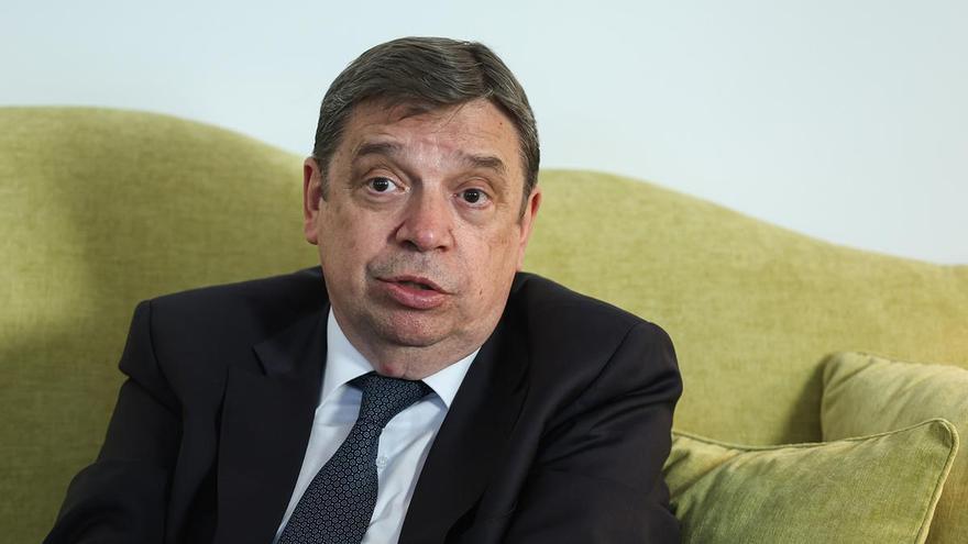 Planas confirma que el brote de peste porcina no afectó a explotaciones en Cataluña