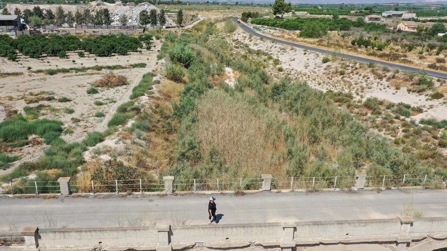 El Ayuntamiento de Benferri exige a la CHS que actúe para limpiar el cauce de la rambla de Abanilla ante el riesgo de una nueva DANA