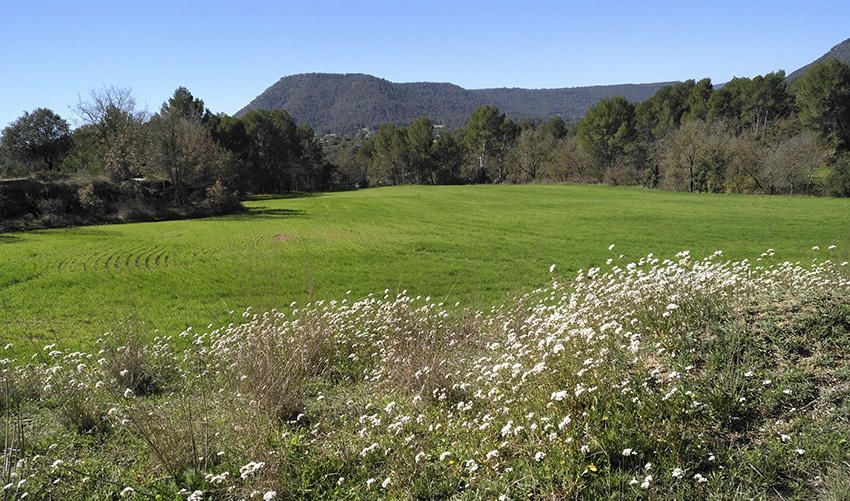 Vista. Des de l’entorn de Sant Joan el nostre lector ha pogut fotografiar l’esclat de la primavera i al fons, la muntanya de Collbaix.