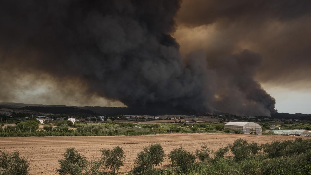 Imatge de l'incendi que va afectar el Bages aquest estiu