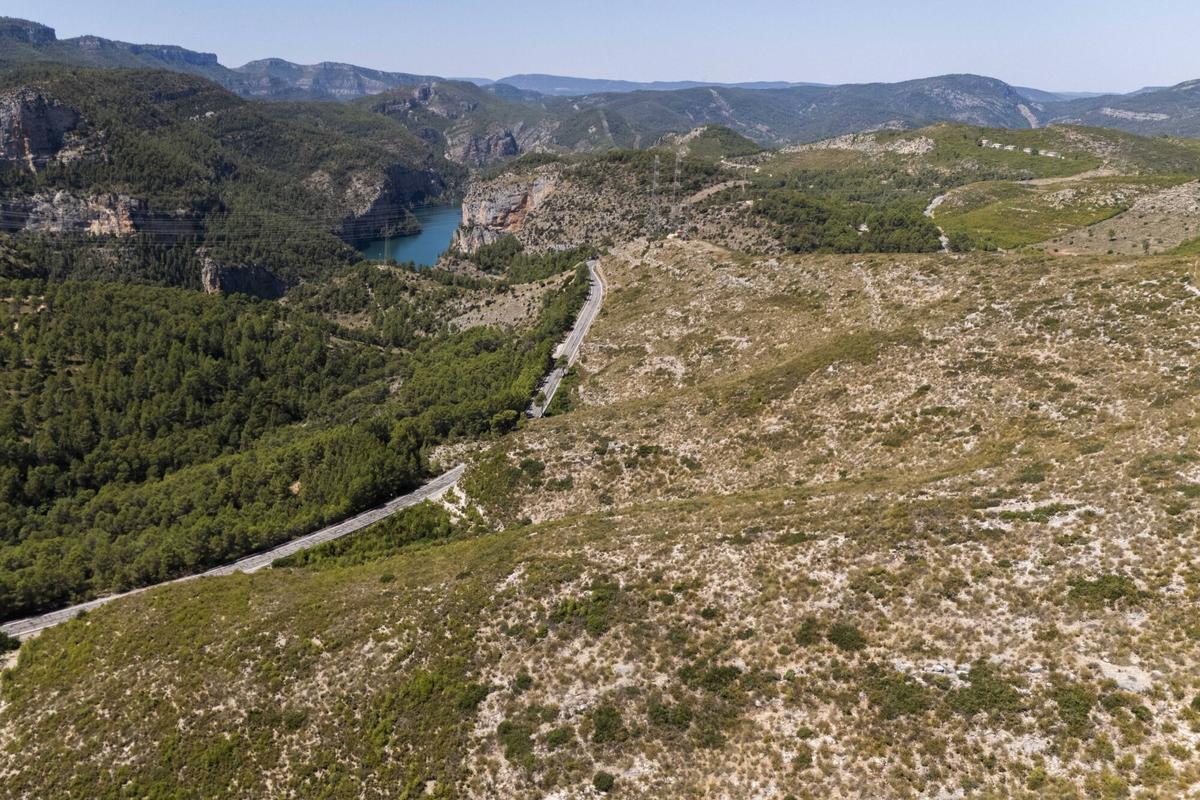 Cortes de Pallás. VLC. Reportaje 14 años después del grave incendio que se originó en el término municipal de Cortés de Pallás