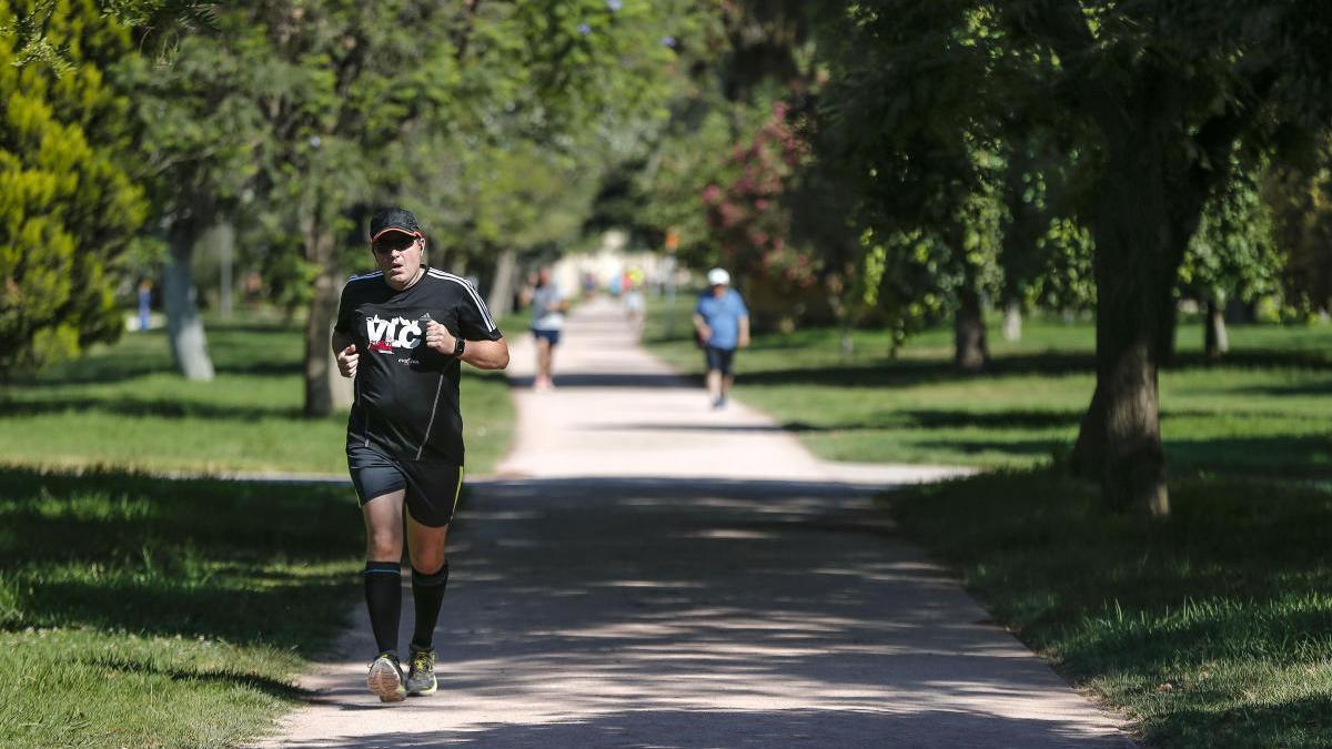 Un hombre corre por un parque.