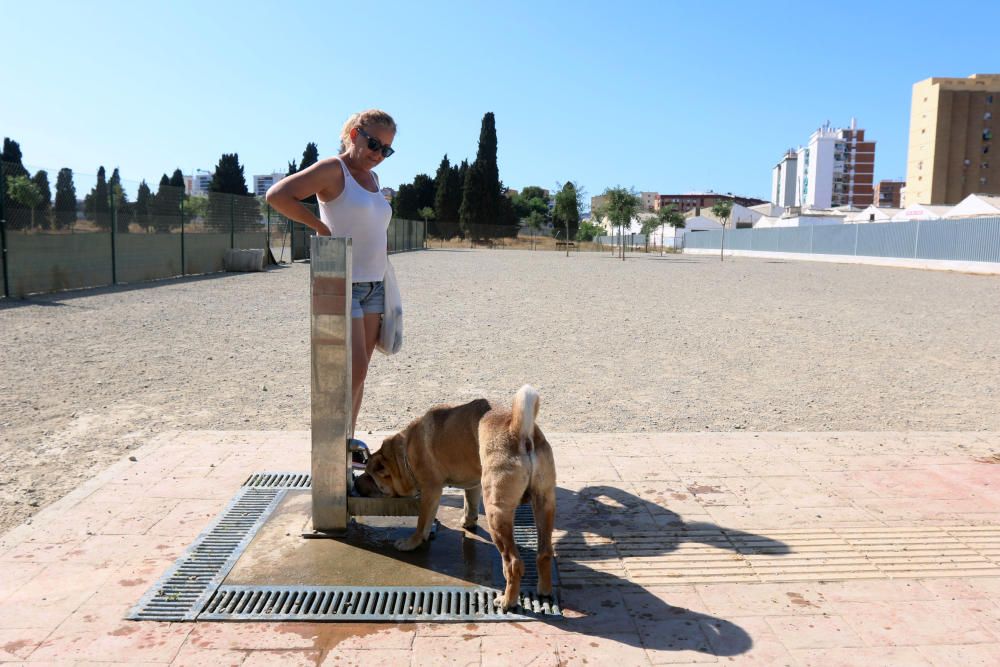 El parque canino sobre la mayor fosa común de la Guerra Civil