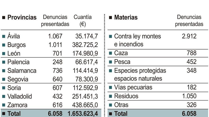 Denuncias medioambientales presentadas en 2020 en Castilla y León.