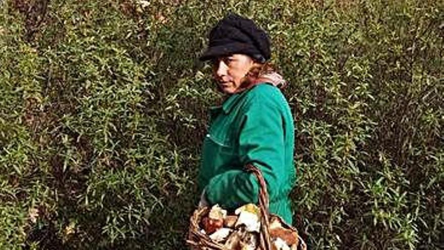 Una mujer recoge boletos de las jaras en Samir.