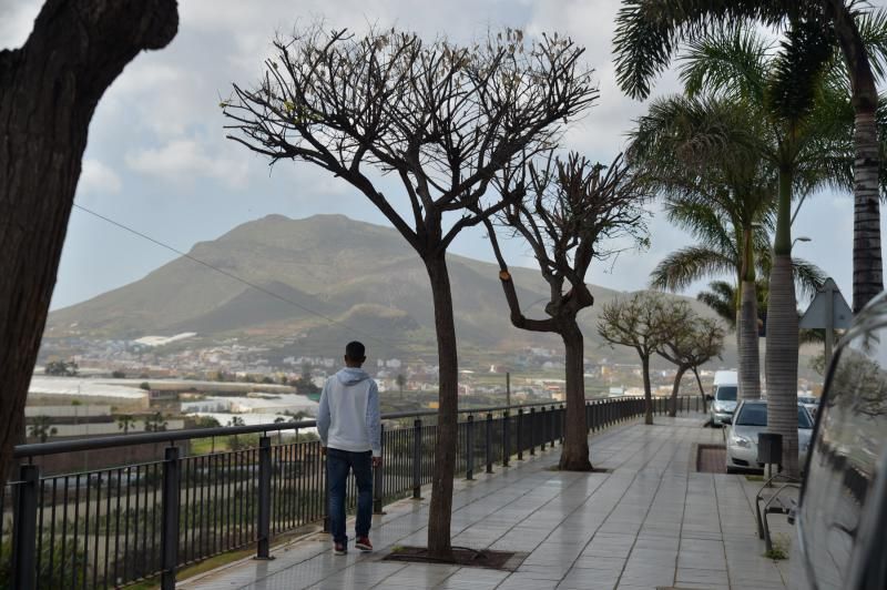 Paseo de Gáldar  a Guía