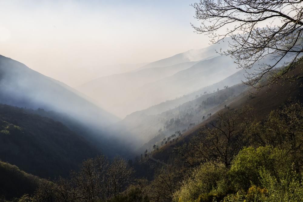 Indendios en Asturias.