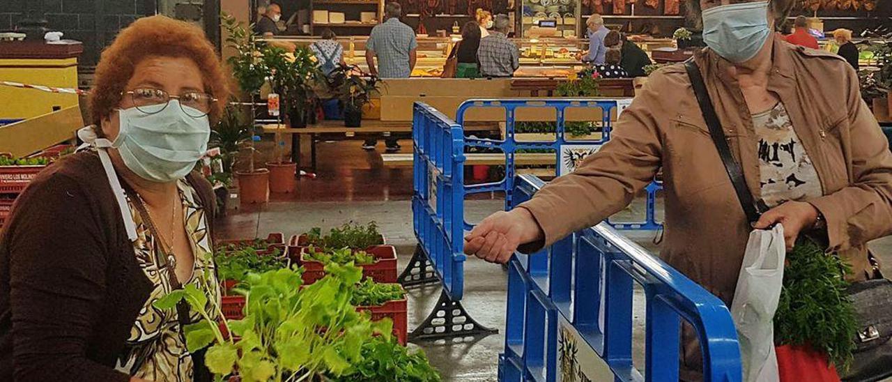 Luisa Fernández, en su puesto de la plaza villaviciosina, vendiendo plantas de pepinos.