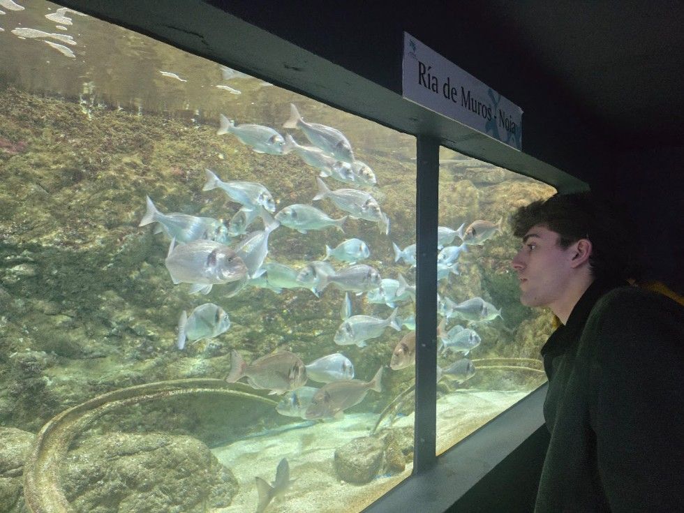 Las instalaciones del Acuario O Grove, en Punta Moreiras.