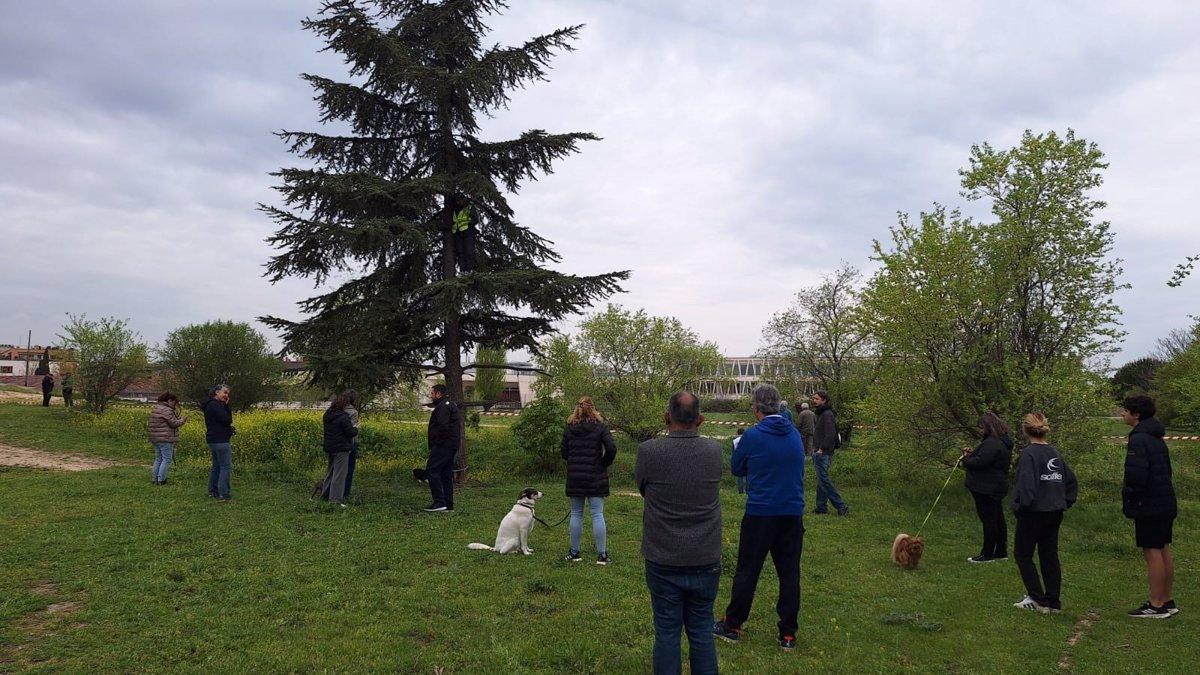 Vecinas y vecinos de Montecarmelo en la finca donde el Ayuntamiento quiere poner un cantón de limpieza.