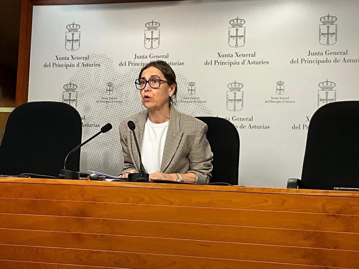 Dolores Carcedo, portavoz parlamentaria del PSOE.