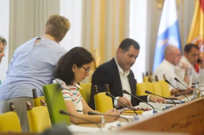 Pleno del Ayuntamiento de Las Palmas de Gran Canaria (27/07/18)