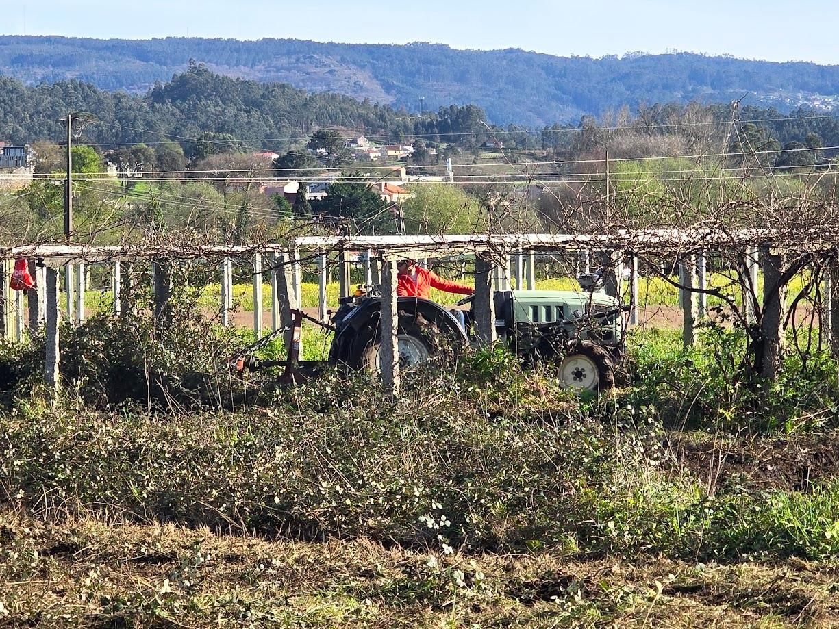 Arousanos aprovechando el buen tiempo para preparar sus tierras de cultivo.