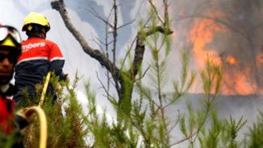 El Consell elimina 20 millones en ayudas para limpiar los montes y prevenir incendios