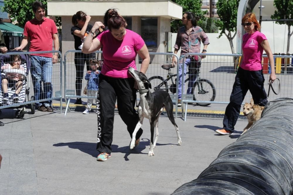 Feria del reciclaje en Murcia