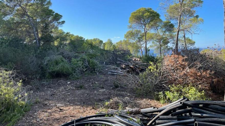 Retirada de árboles y vegetación y tubos para la obra prevista en la zona de Cap Negret, junto a la costa. | D. I.