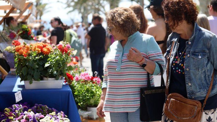 Feria del libro de Santa Eulària: La vida entre páginas en un paseo por s’Alamera