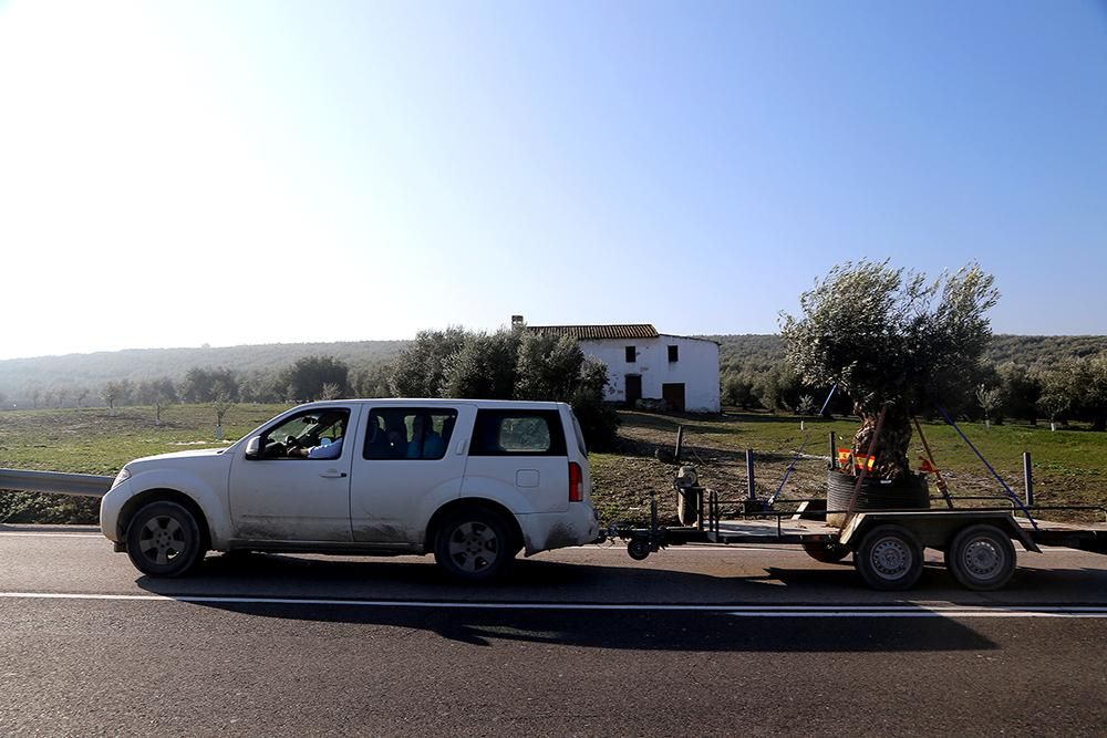 Los agricultores cortan la A-45