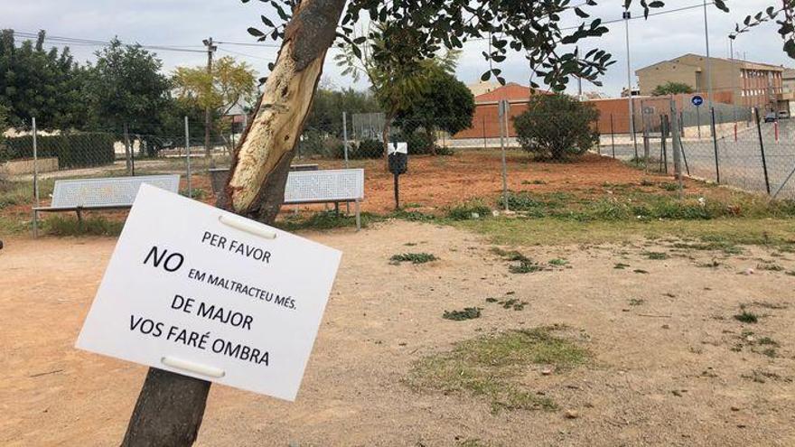 SOS de un pueblo de Castellón para salvar a un árbol de los vándalos