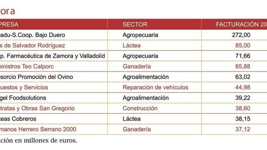 Cobadú , la mayor empresa de Zamora con 272 millones de facturación