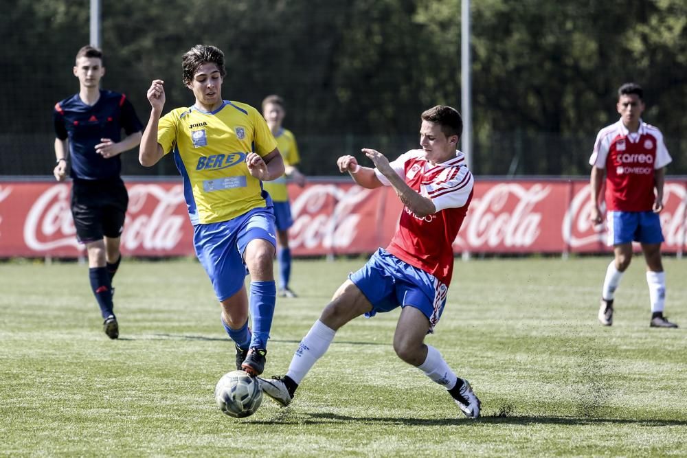 Oviedo Cup 2017: todas las imágenes