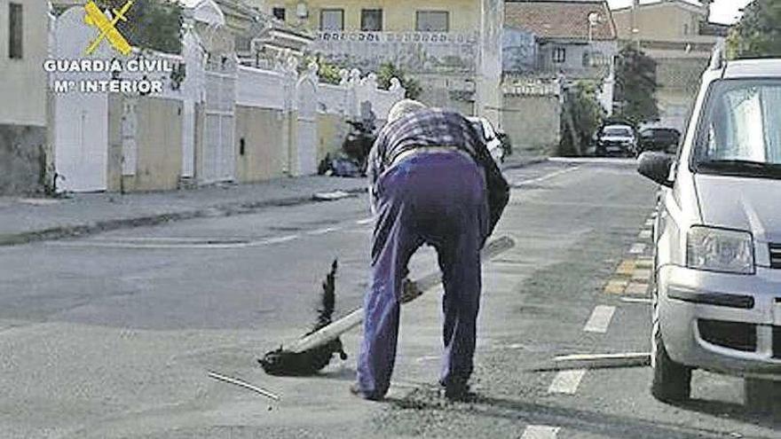 Detenido un anciano en Murcia por matar a golpes a un gato