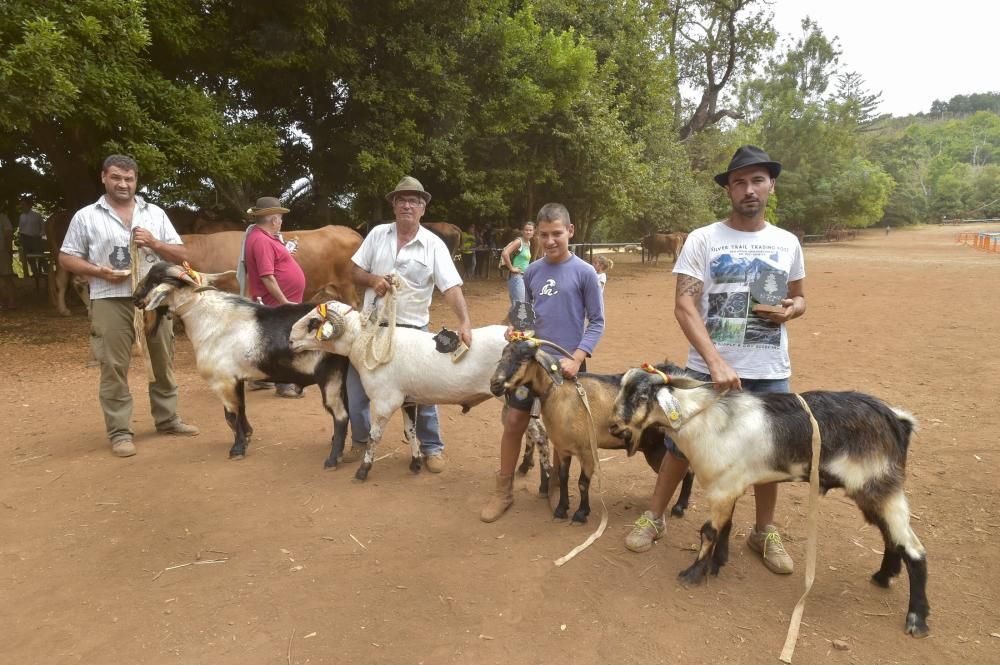 Feria de ganado