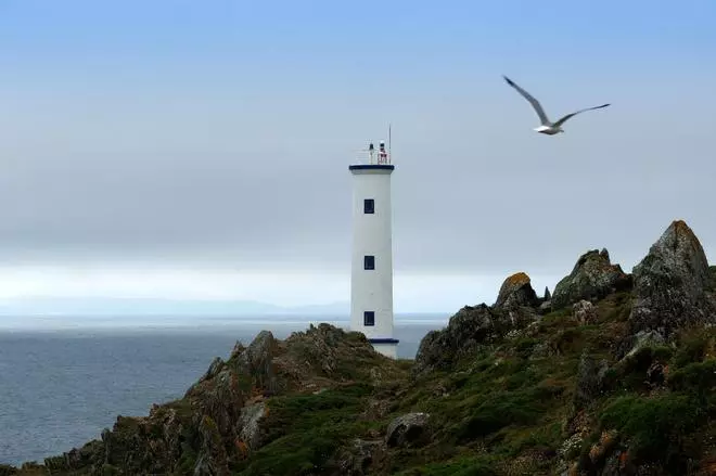 Galicia indómita entre faros y playas