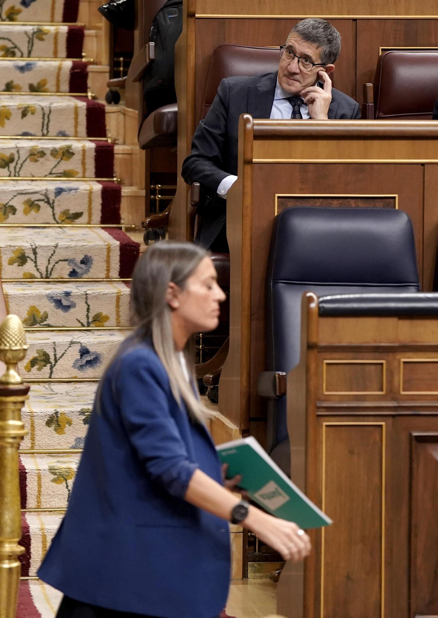 El debate de la ley de la amnistía en el Congreso, en imágenes