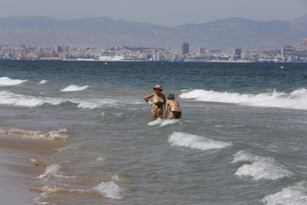 Un tiburón muerde a un bañista en Arenales del Sol