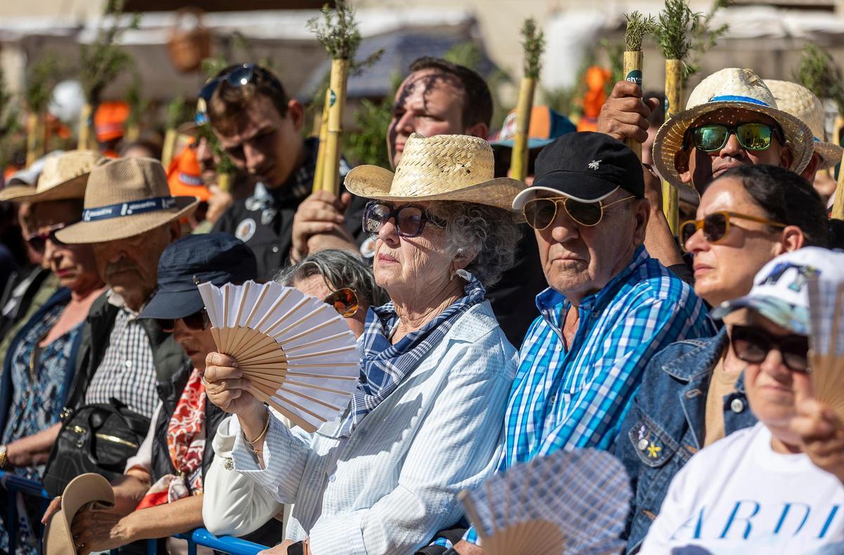 Santa Faz 2026: fe y devoción por la Reliquia