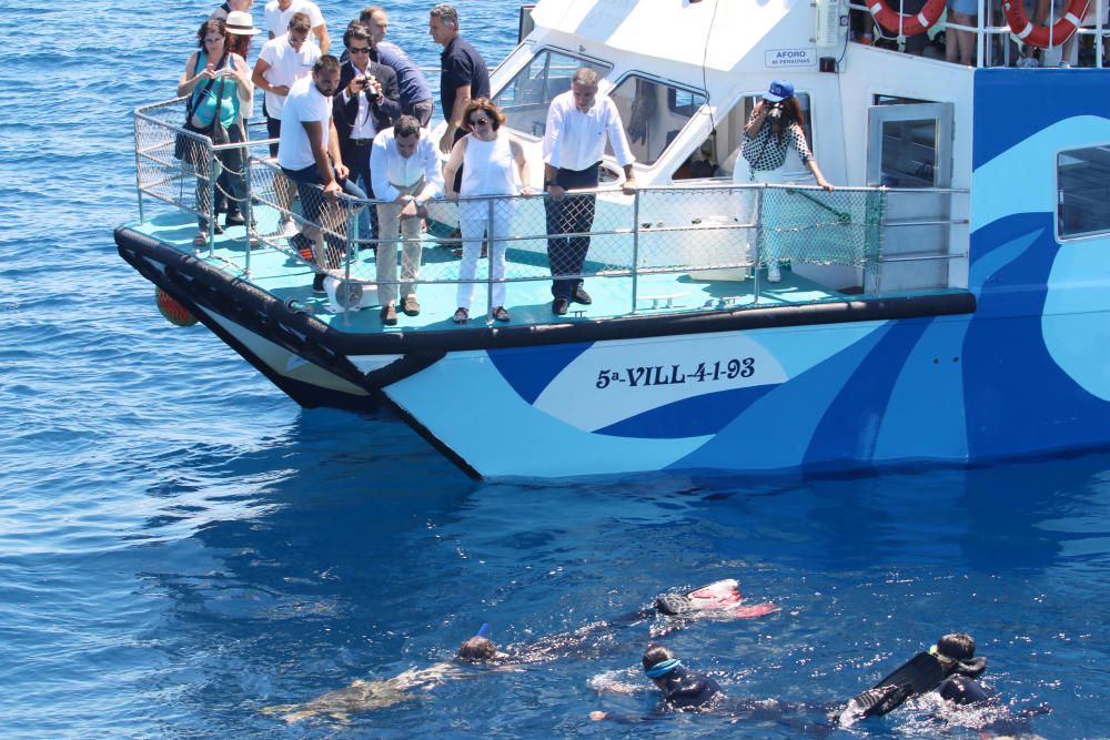 Sáenz de Santamaría participa en la suelta de una tortuga en Málaga