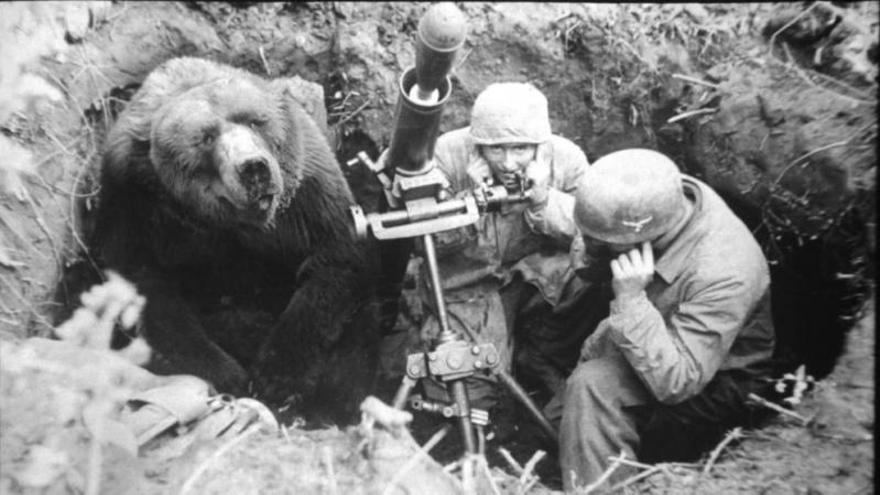 ‘Wojtek’, el oso teniente de la  II Guerra Mundial