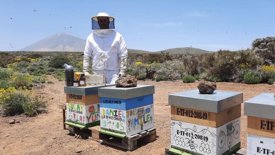 Emprender en apicultura, vocación, profesión y contribución a la biodiversidad de Tenerife