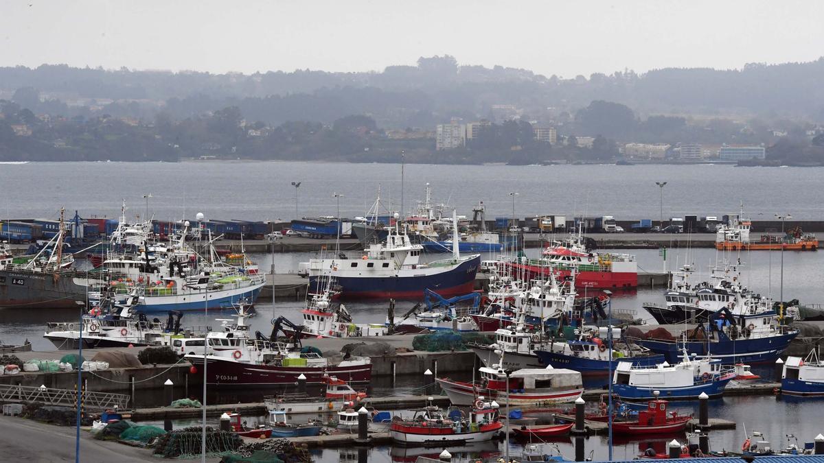 Flota pesquera amarrada en el puerto de Oza, en A Coruña.