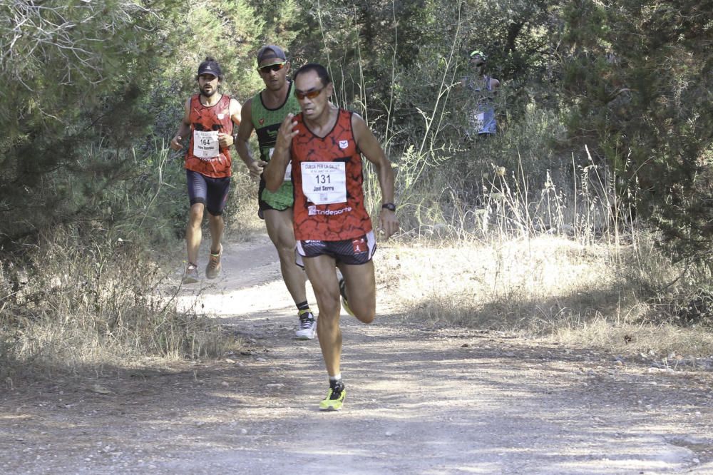 Atletismo - trail