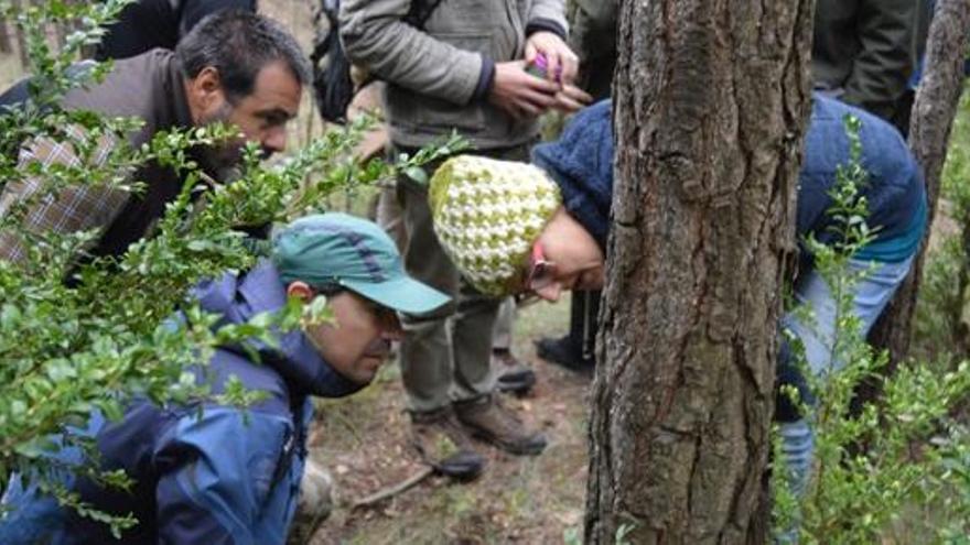 Taller de rastreig a Guardiola de Berguedà