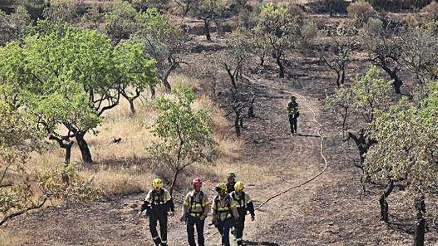 Un grup de bombers camina per la zona afectada per l&#039;incendi a la Ribera d&#039;Ebre.