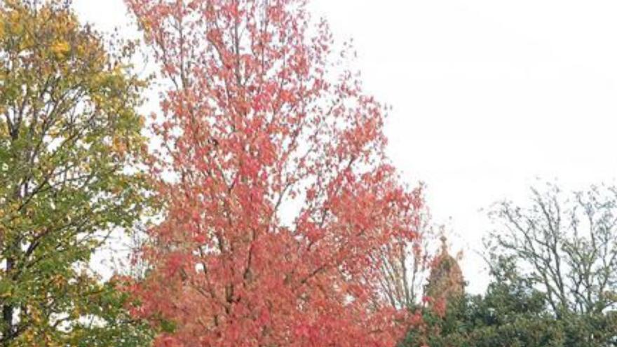 Unha imaxe de outono. |  FdV