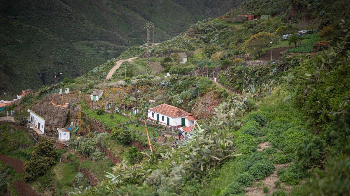 La Tenerife vaciada: Bejía