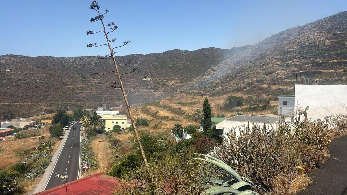 Agentes de la Policía Local de La Laguna intervinieron inicialmente en la zona