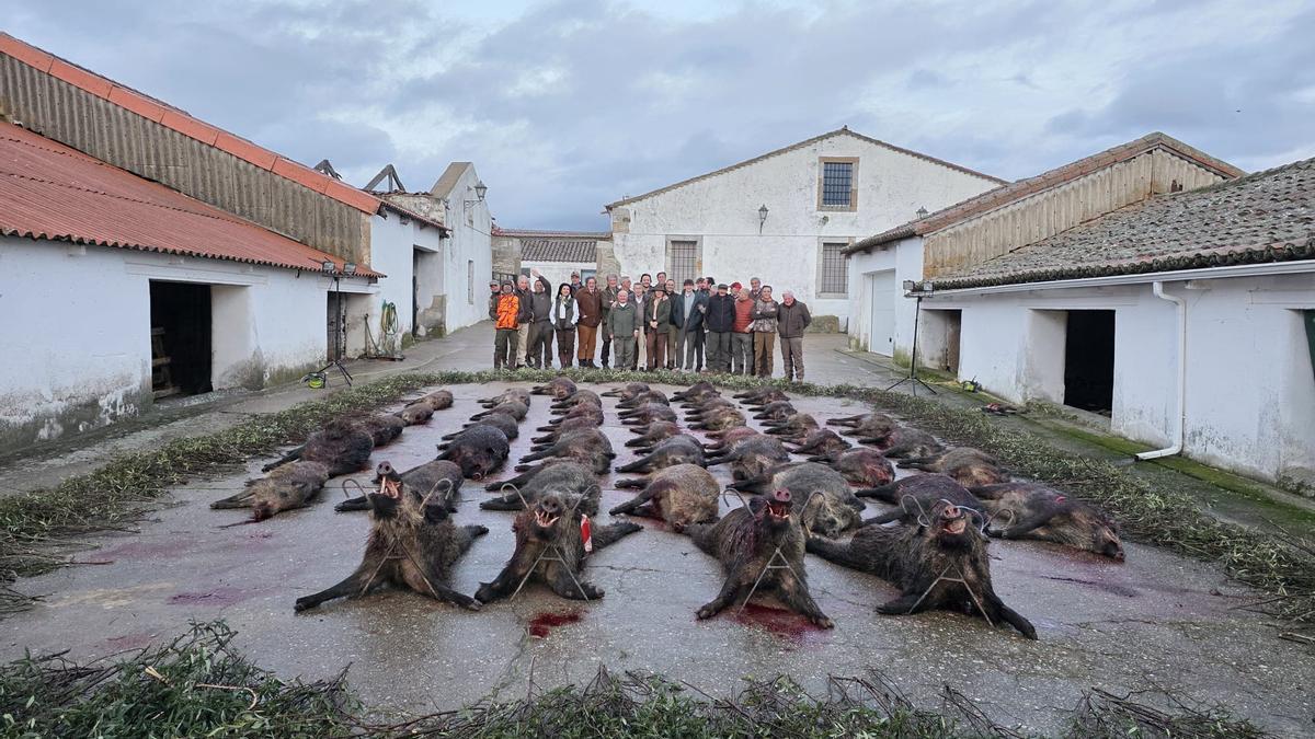 Cazadores participantes en la montería posan con los jabalíes abatidos.