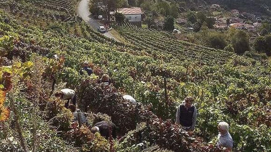 La Ribeira Sacra supera el último trámite antes de llegar a la Unesco