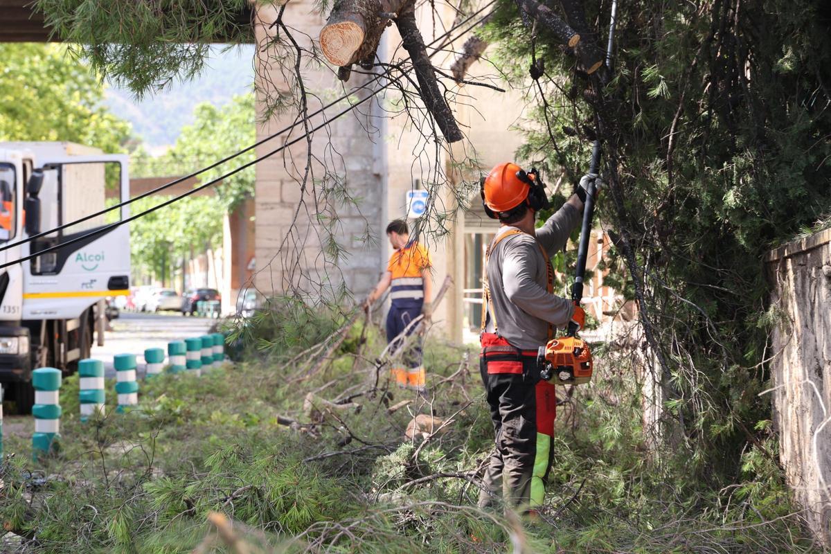 Imágenes del día después en Alcoy tras el temporal